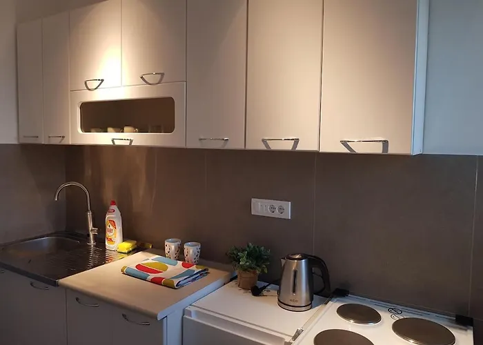 Spacious And Comfortable 포드고리차